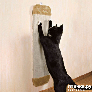 ����: � ����� ���������� ������ ��?