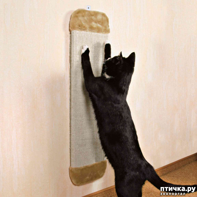 ���� 1: � ����� ���������� ������ ��?