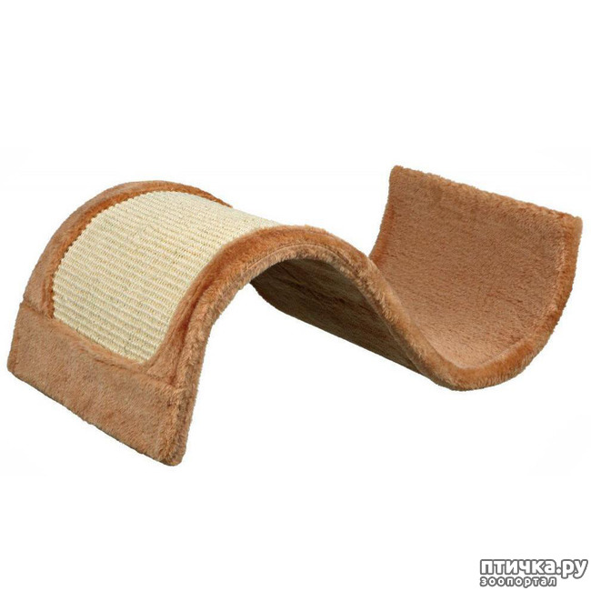 ���� 2: � ����� ���������� ������ ��?