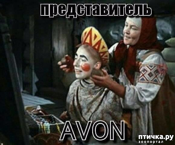 ���� 40: �� ���������� - �������� �� �����