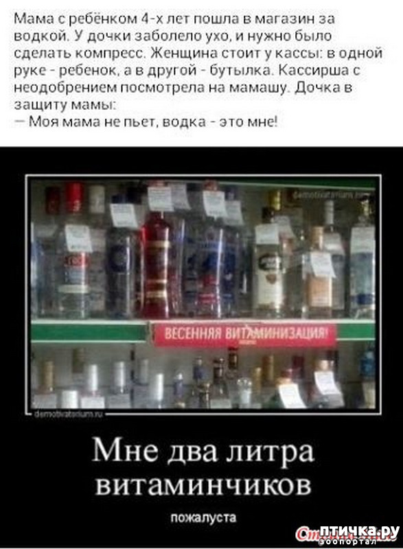 ���� 45: �� ���������� - �������� �� �����