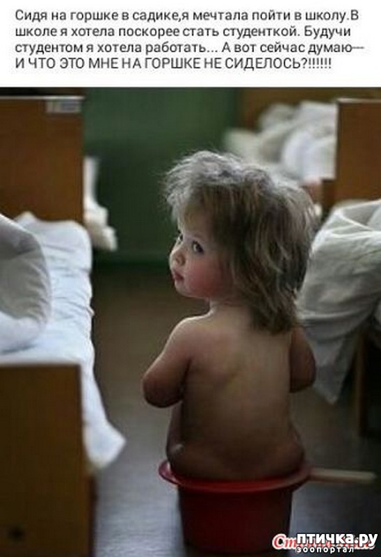 ���� 44: �� ���������� - �������� �� �����