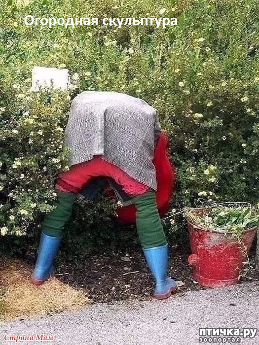 ���� 43: �� ���������� - �������� �� �����