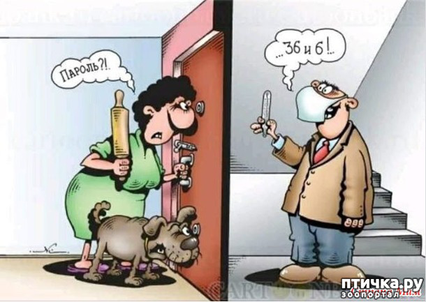 ���� 47: �� ���������� - �������� �� �����