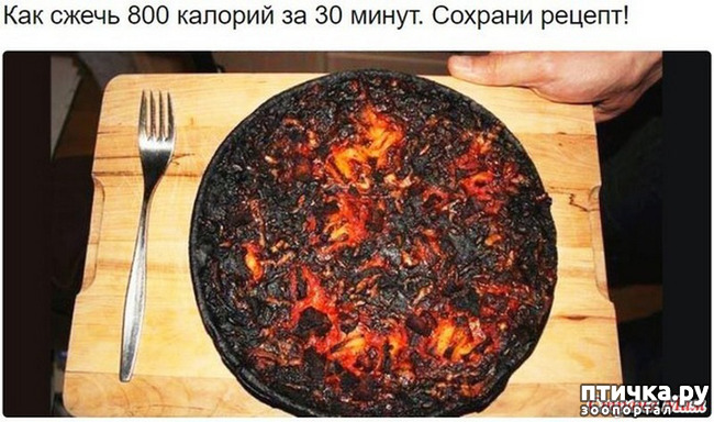 ���� 46: �� ���������� - �������� �� �����