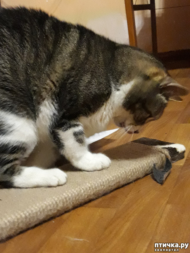 ���� 5: � ����� ���������� ������ ��?