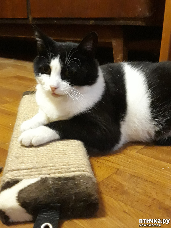 ���� 6: � ����� ���������� ������ ��?