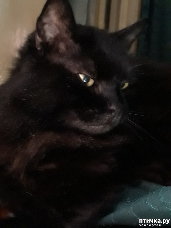 ���� 8: � ����� ���������� ������ ��?