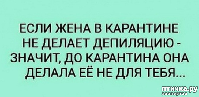 ���� 49: �� ���������� - �������� �� �����