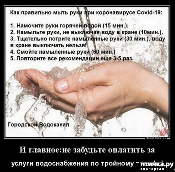 ���� 53: �� ���������� - �������� �� �����