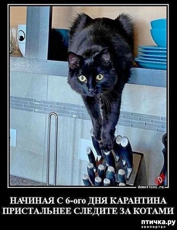 ���� 52: �� ���������� - �������� �� �����