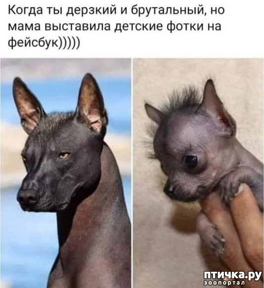 ���� 63: �� ���������� - �������� �� �����