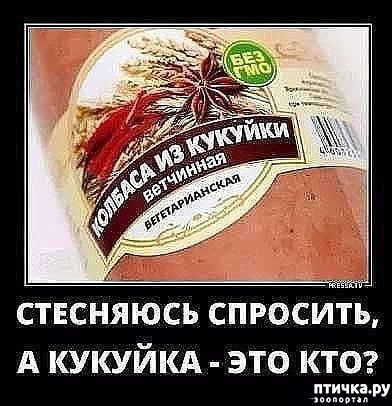 ���� 59: �� ���������� - �������� �� �����