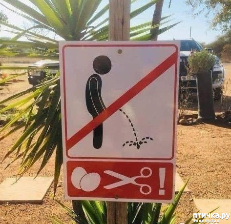 ���� 58: �� ���������� - �������� �� �����