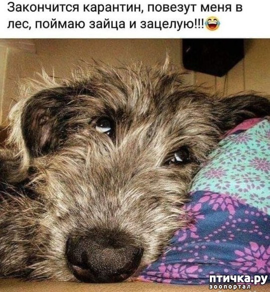 ���� 2: �� ���������� - �������� �� �����