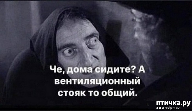 ���� 64: �� ���������� - �������� �� �����