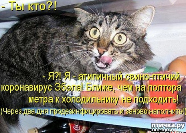 ���� 65: �� ���������� - �������� �� �����