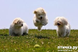 ����: ������������ ������!