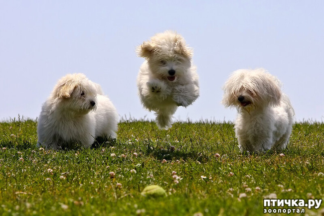 ���� 1: ������������ ������!