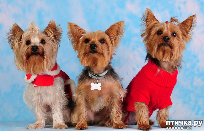 ���� 2: ������������ ������!