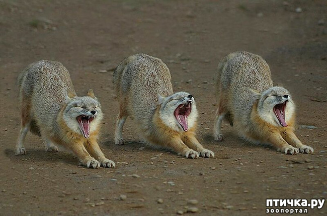 ���� 6: ������������ ������!