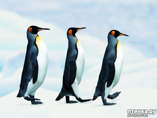 ���� 10: ������������ ������!