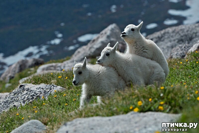 ���� 9: ������������ ������!