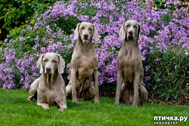 ���� 4: ������������ ������!