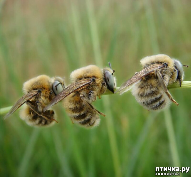 ���� 14: ������������ ������!