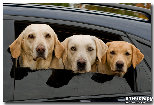 ���� 13: ������������ ������!