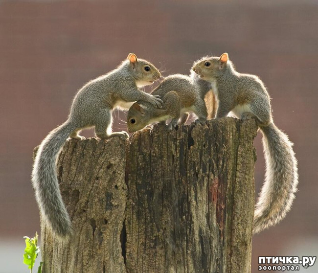 ���� 12: ������������ ������!