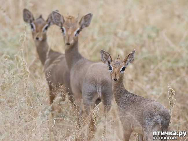 ���� 15: ������������ ������!