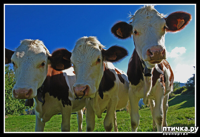 ���� 11: ������������ ������!