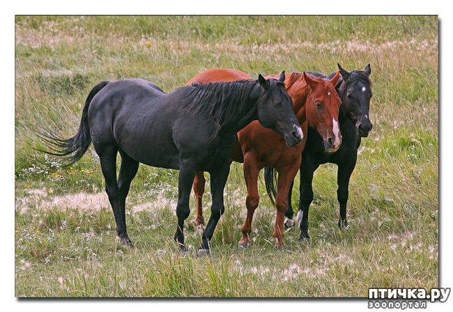 ���� 16: ������������ ������!