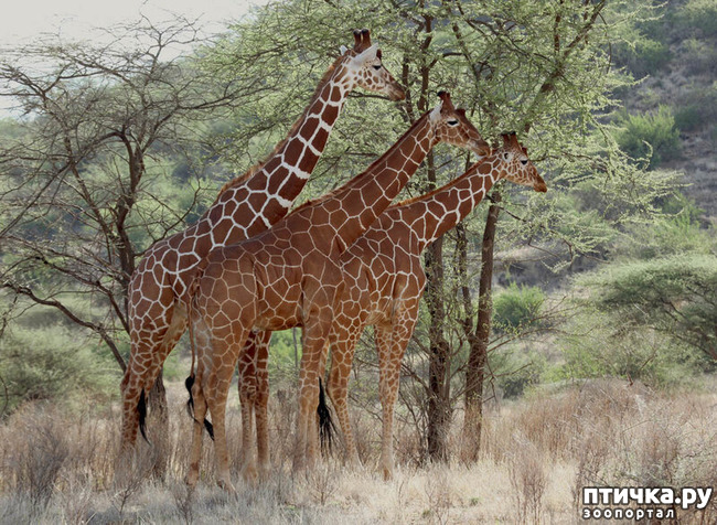 ���� 17: ������������ ������!