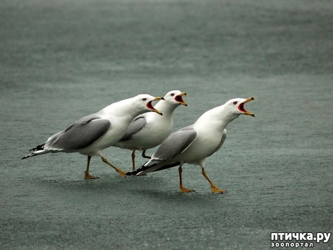 ���� 19: ������������ ������!