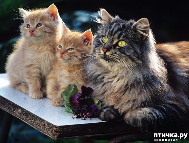 ���� 20: ������������ ������!