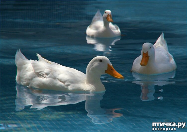 ���� 24: ������������ ������!