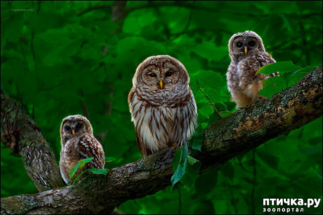 ���� 22: ������������ ������!