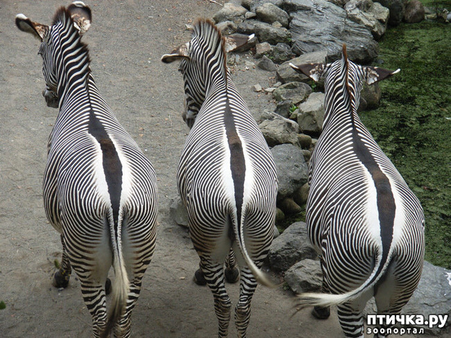 ���� 23: ������������ ������!