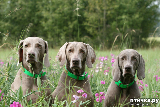 ���� 25: ������������ ������!