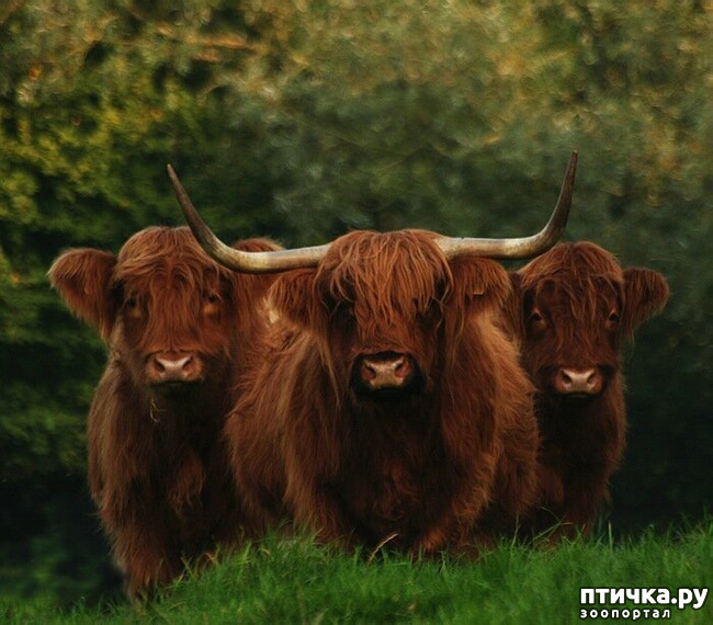 ���� 27: ������������ ������!