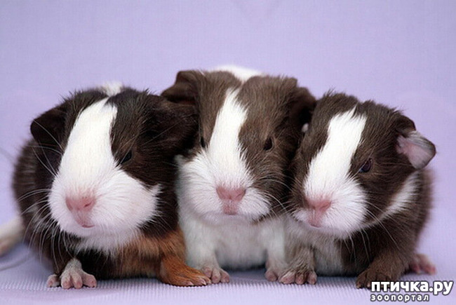 ���� 28: ������������ ������!