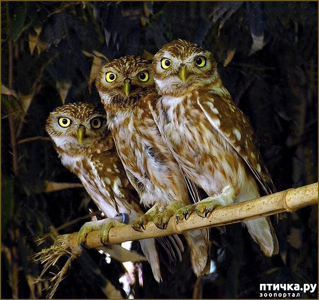 ���� 29: ������������ ������!