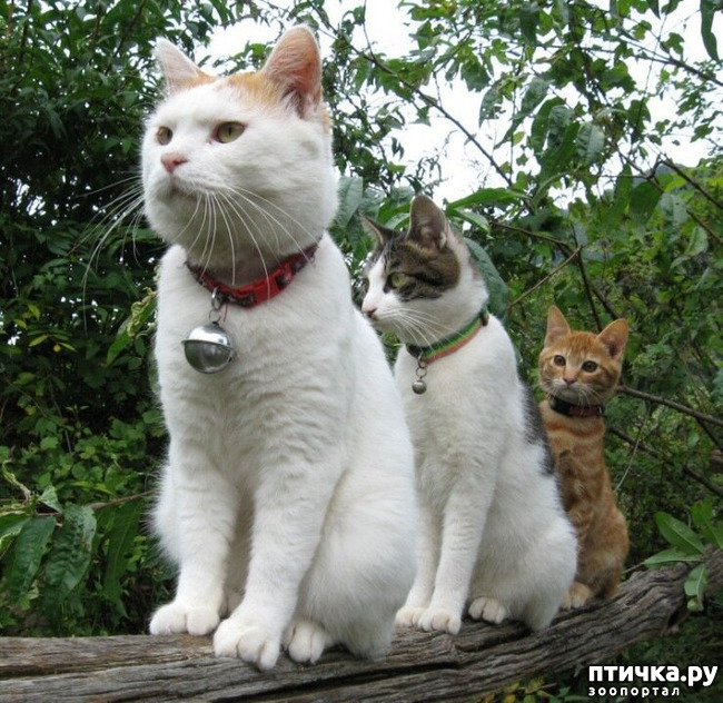 ���� 30: ������������ ������!