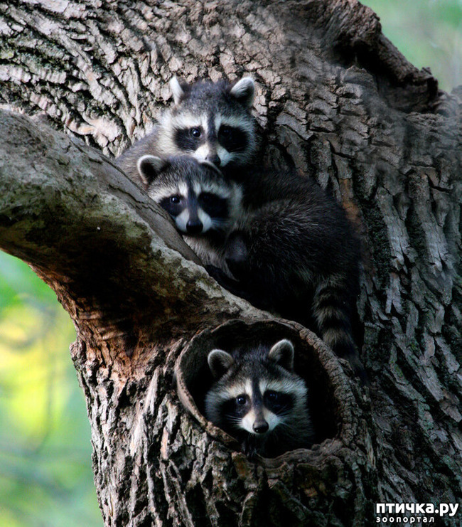 ���� 32: ������������ ������!