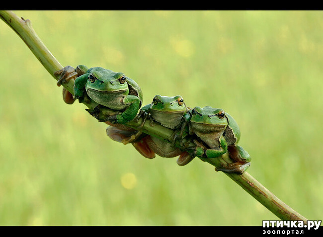 ���� 34: ������������ ������!