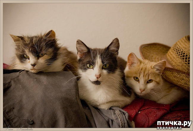 ���� 37: ������������ ������!