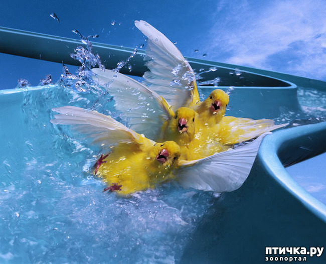 ���� 42: ������������ ������!