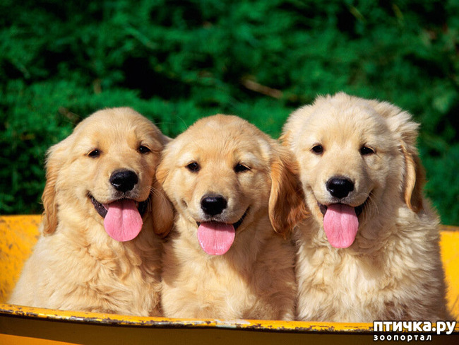 ���� 41: ������������ ������!